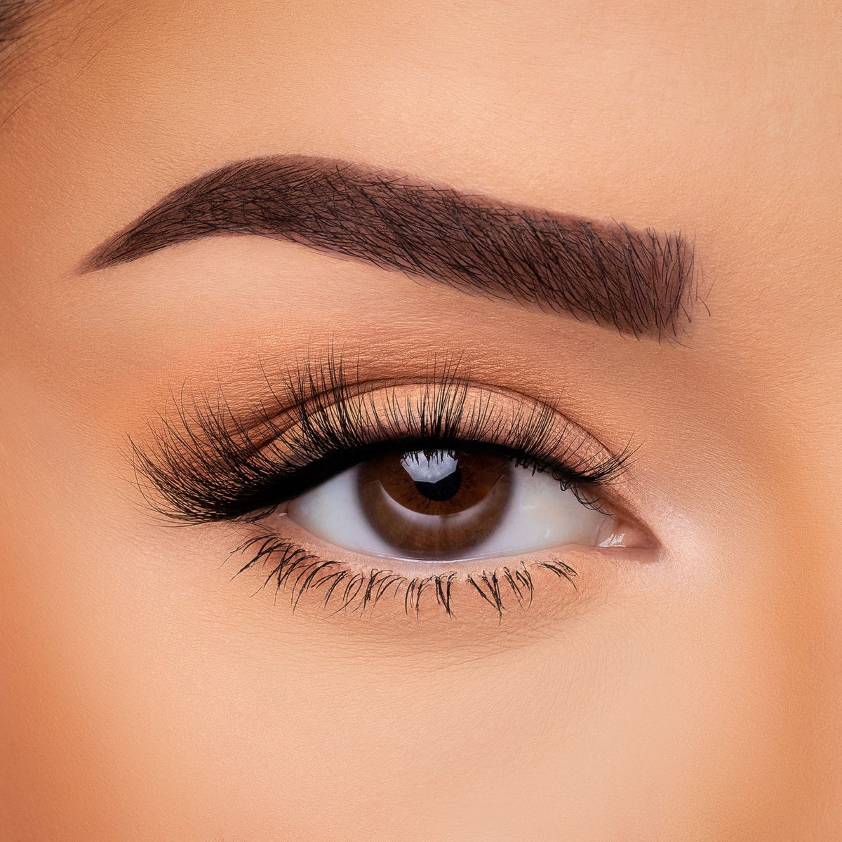 BEAUTY CREATIONS - VISÓN FAUX 3D (CAJA DE 10 PIEZAS)