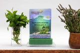 NEW SOAPS - SIMPLY BELLA - LUXURY SOAP COLLECTION - (12PCS)