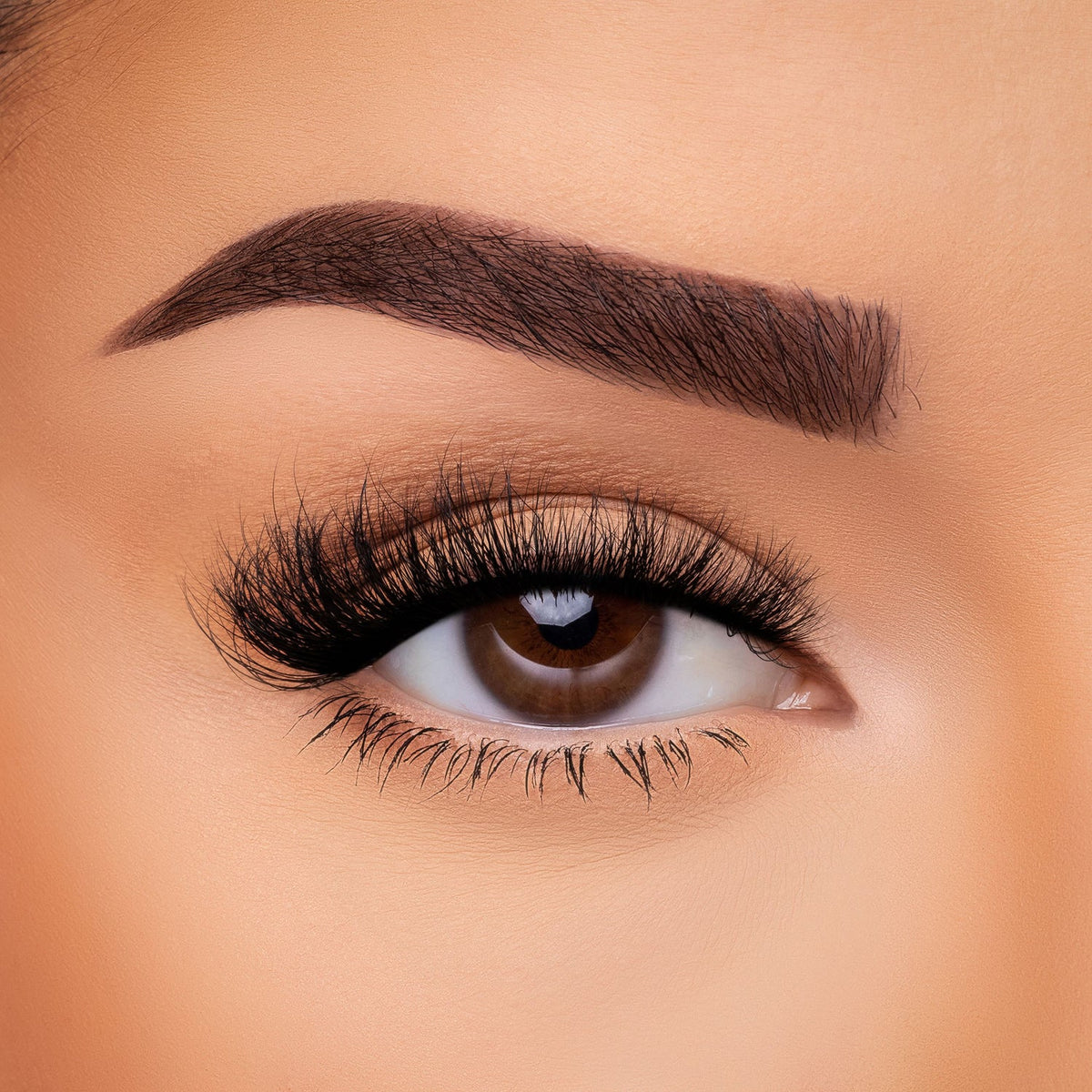BEAUTY CREATIONS - VISÓN FAUX 3D (CAJA DE 10 PIEZAS)